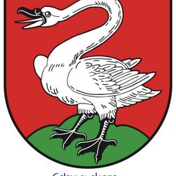 Screenshot_20260125_160637_Gmail