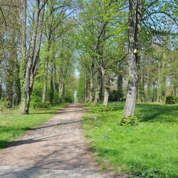 Bild vergrern: A18