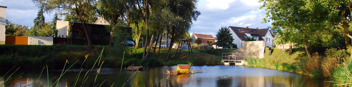 Teich an der Trnke Langenweddingen